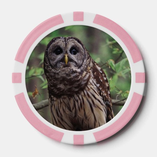 Barred Owl Poker Chips (Voorkant)