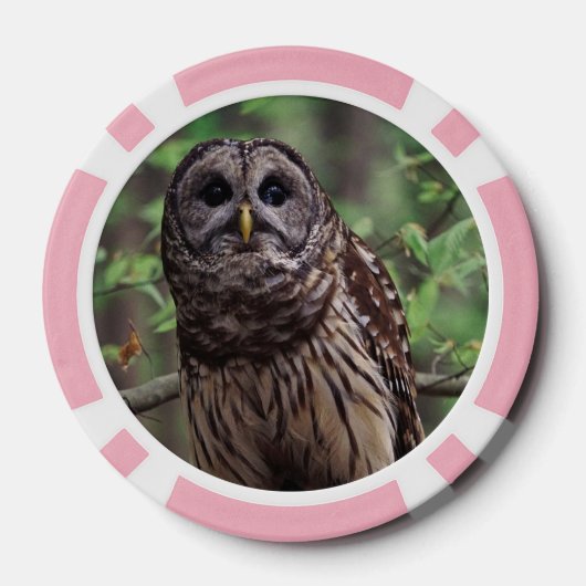 Barred Owl Poker Chips (Achterkant)