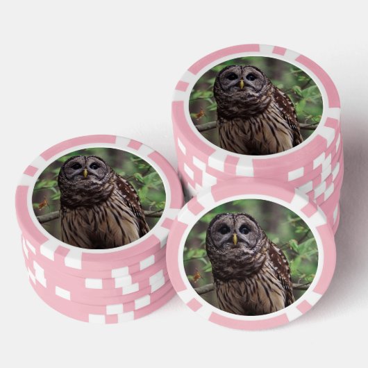 Barred Owl Poker Chips (Opstapeling)