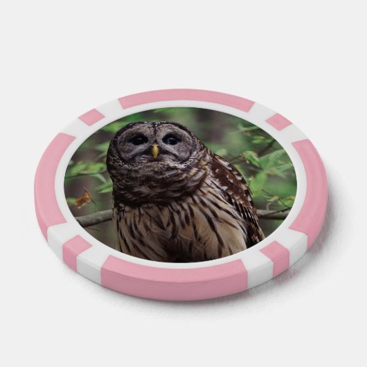 Barred Owl Poker Chips (Enkel)