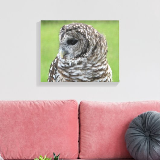 Barred Owl Portret Canvas Afdruk (Insitu (Woonkamer))