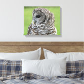 Barred Owl Portret Canvas Afdruk (Insitu (Slaapkamer))