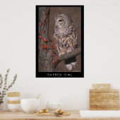 Barred Owl Poster (Keuken)
