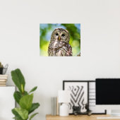 Barred Owl Poster (Thuiskantoor)