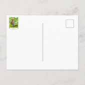 Barred Owl profiel Briefkaart (Achterkant)