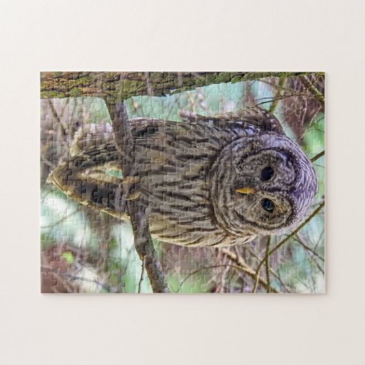 Barred Owl Puzzle Legpuzzel (Horizontaal)