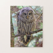 Barred Owl Puzzle Legpuzzel (Verticaal)