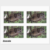 Barred Owl Rechthoekige Sticker (Vel)