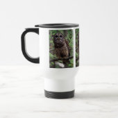 Barred Owl Reisbeker (Links)