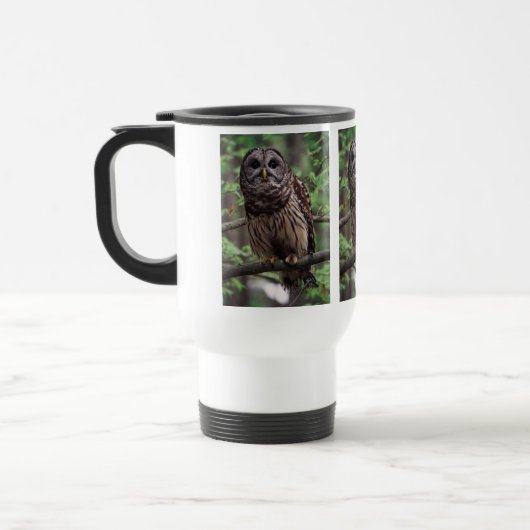Barred Owl Reisbeker (Links)