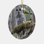 Barred Owl Resten op een moss Covered Limb Keramisch Ornament (Rechts)