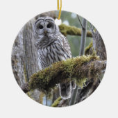 Barred Owl Resten op een moss Covered Limb Keramisch Ornament (Voorkant)