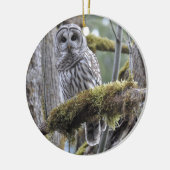 Barred Owl Resten op een moss Covered Limb Keramisch Ornament (Links)