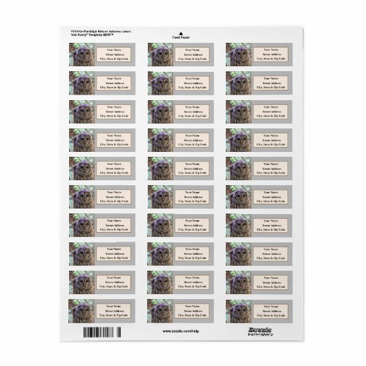 Barred Owl Return Address Labels (Full Sheet)
