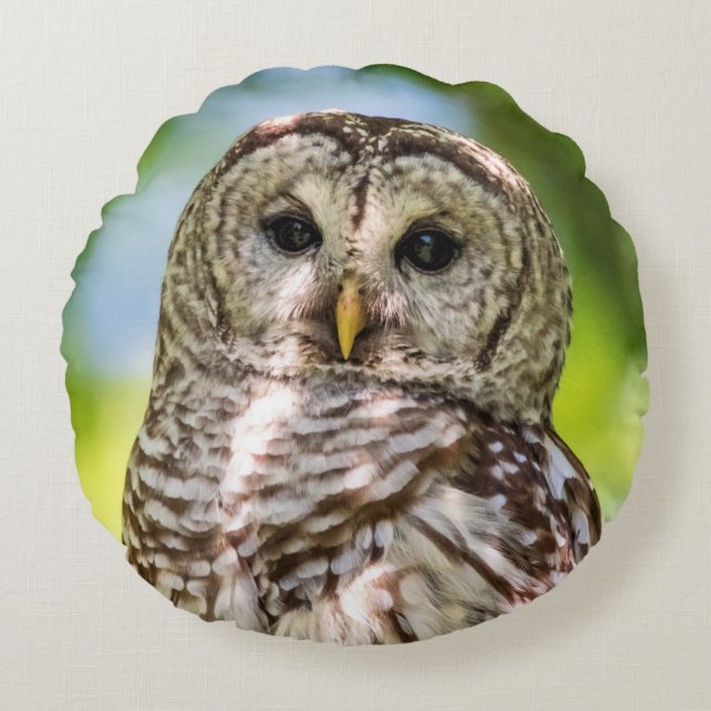 Barred Owl Rond Kussen (Voorkant)