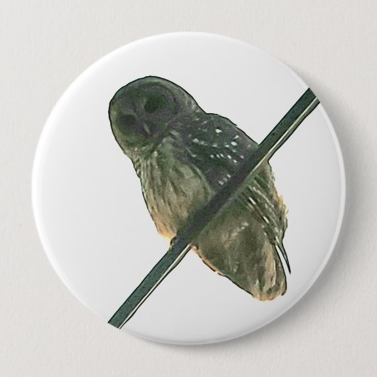 Barred Owl Ronde Button 4,0 Cm (Voorkant)