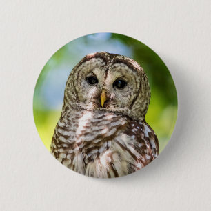Barred Owl Ronde Button 5,7 Cm