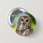 Barred Owl Ronde Button 5,7 Cm (Voorkant /achterkant)