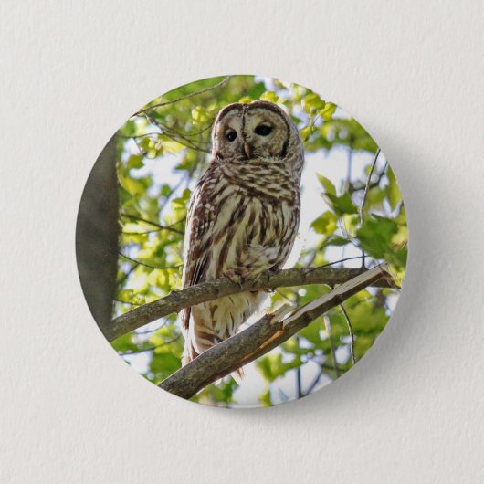 Barred Owl Ronde Button 5,7 Cm (Voorkant)
