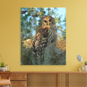 Barred Owl rookt in sommige Spaanse moss Canvas Afdruk (Insitu (Woonkamer))