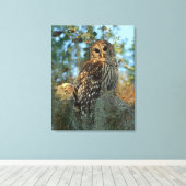 Barred Owl rookt in sommige Spaanse moss Canvas Afdruk (Insitu (Houten vloer))