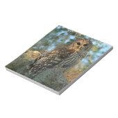 Barred Owl rookt in sommige Spaanse moss Notitieblok (Linkerzijde)