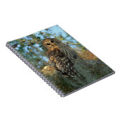 Barred Owl rookt in sommige Spaanse moss Notitieboek (Rechterzijde)