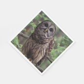 Barred Owl Servet (Hoek)
