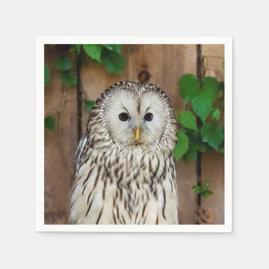 Barred Owl Servetten (Voorkant)