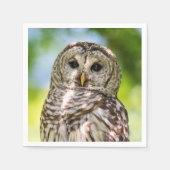 Barred Owl Servetten (Voorkant)