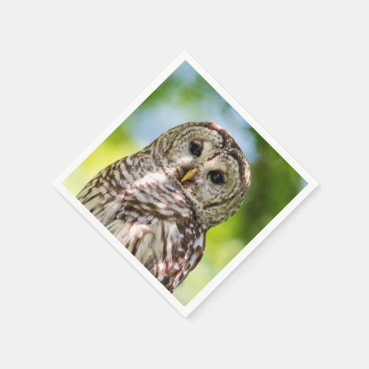 Barred Owl Servetten (Hoek)
