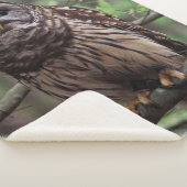 Barred Owl Sherpa Deken (3/4)