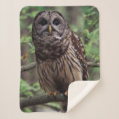 Barred Owl Sherpa Deken (Voorkant)