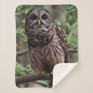 Barred Owl Sherpa Deken
