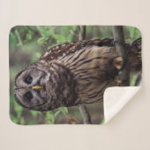 Barred Owl Sherpa Deken (Voorkant (horizontaal))