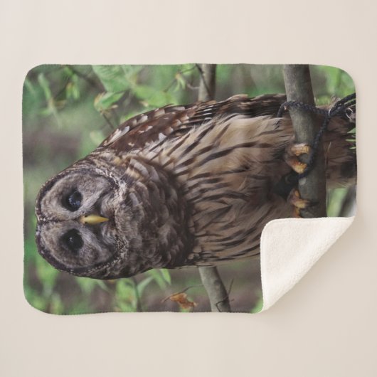 Barred Owl Sherpa Deken (Voorkant (horizontaal))
