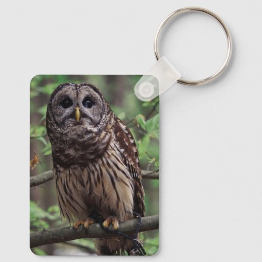 Barred Owl Sleutelhanger (Achterkant)