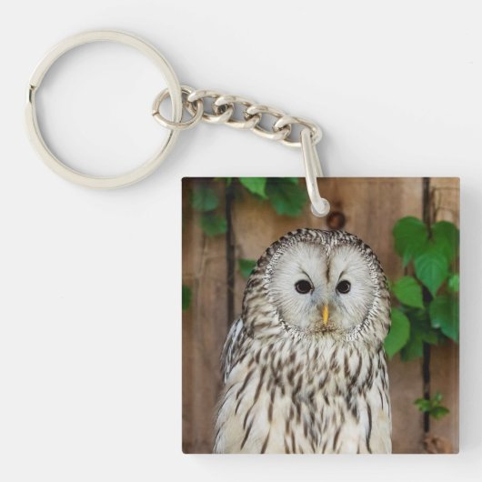 Barred Owl Sleutelhanger (Voorkant)