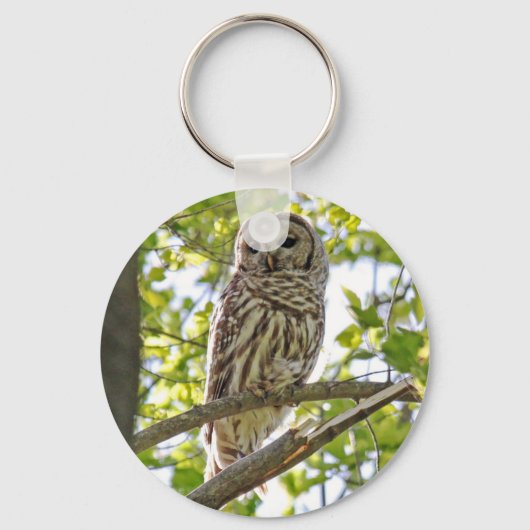 Barred Owl Sleutelhanger (Voorkant)