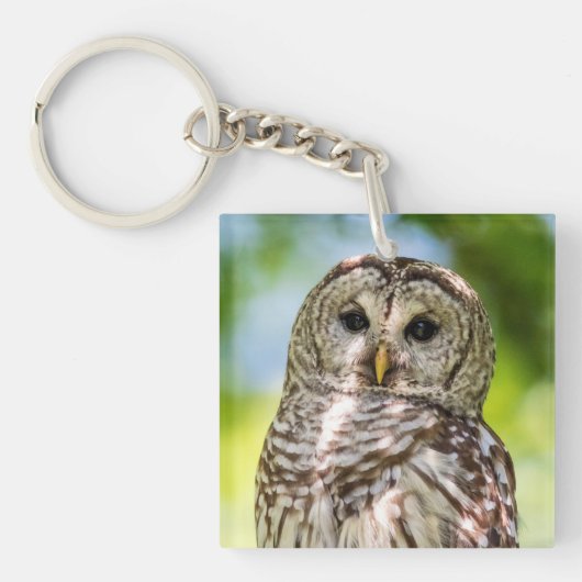 Barred Owl Sleutelhanger (Voorkant)