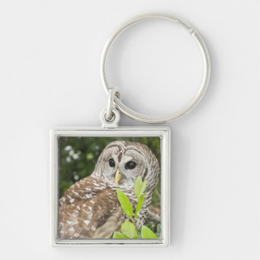 Barred Owl Sleutelhanger (Voorkant)