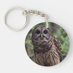 Barred Owl Sleutelhanger