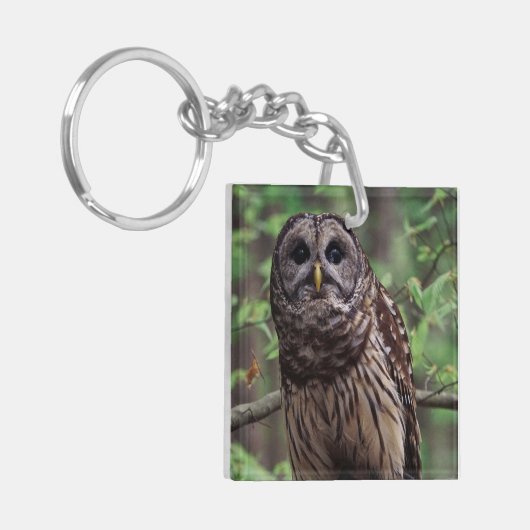Barred Owl Sleutelhanger (Voorkant Links)