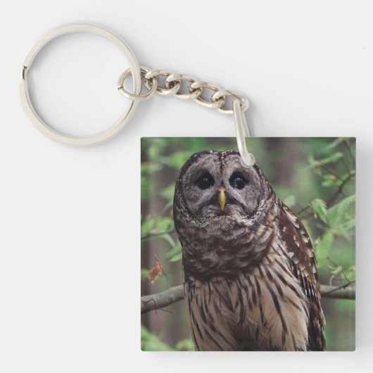 Barred Owl Sleutelhanger (Voorkant)