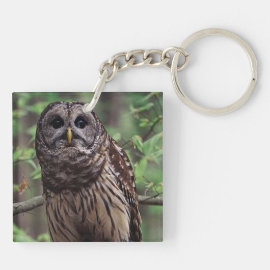 Barred Owl Sleutelhanger (Achterkant)