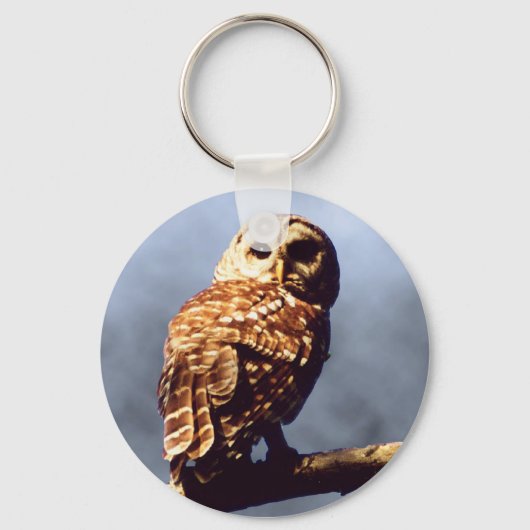 Barred Owl Sleutelhanger (Voorkant)