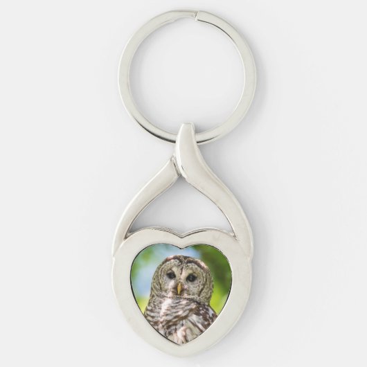 Barred Owl Sleutelhanger (Voorkant)
