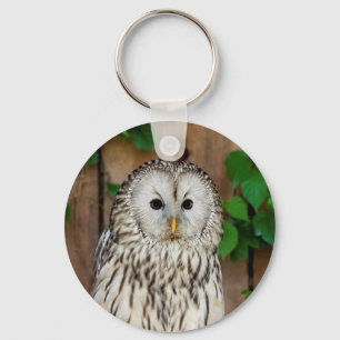 Barred Owl Sleutelhanger
