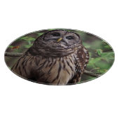 Barred Owl Snijplank (Hoek)