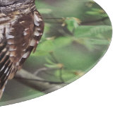 Barred Owl Snijplank (Hoek)
